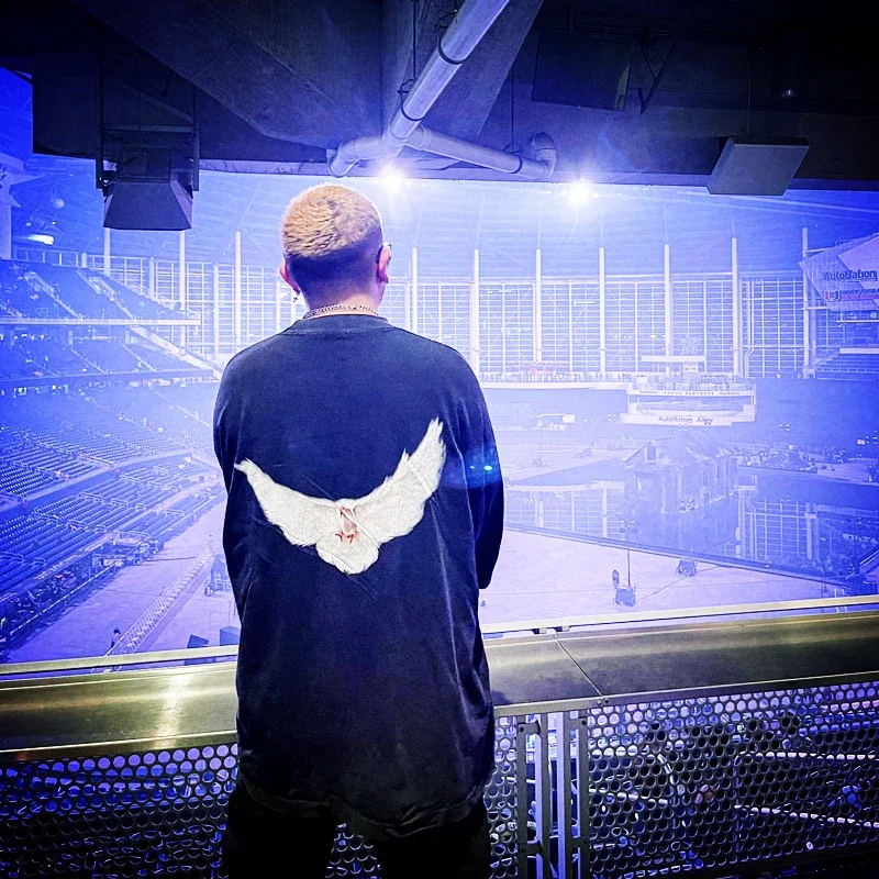 SAINT OF MICHAEL Kanye West Streetwear Best Quality Vintage YZY DOVE DONDA Loose Ovesize Pigeon Print T-shirt Tops Tee For Men - Image 3